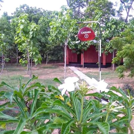 Lavish Eco Jungle Hotell Tissamaharama Exteriör bild