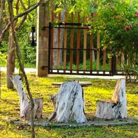 Lavish Eco Jungle Hotell Tissamaharama Exteriör bild