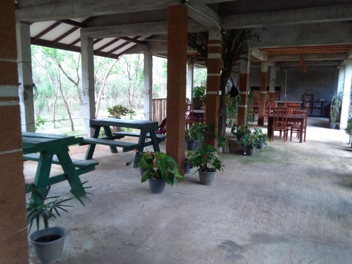 Lavish Eco Jungle Hotell Tissamaharama Exteriör bild