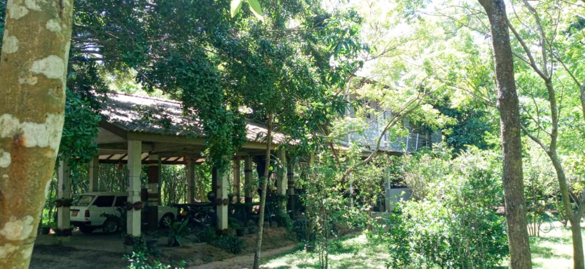 Lavish Eco Jungle Hotell Tissamaharama Exteriör bild