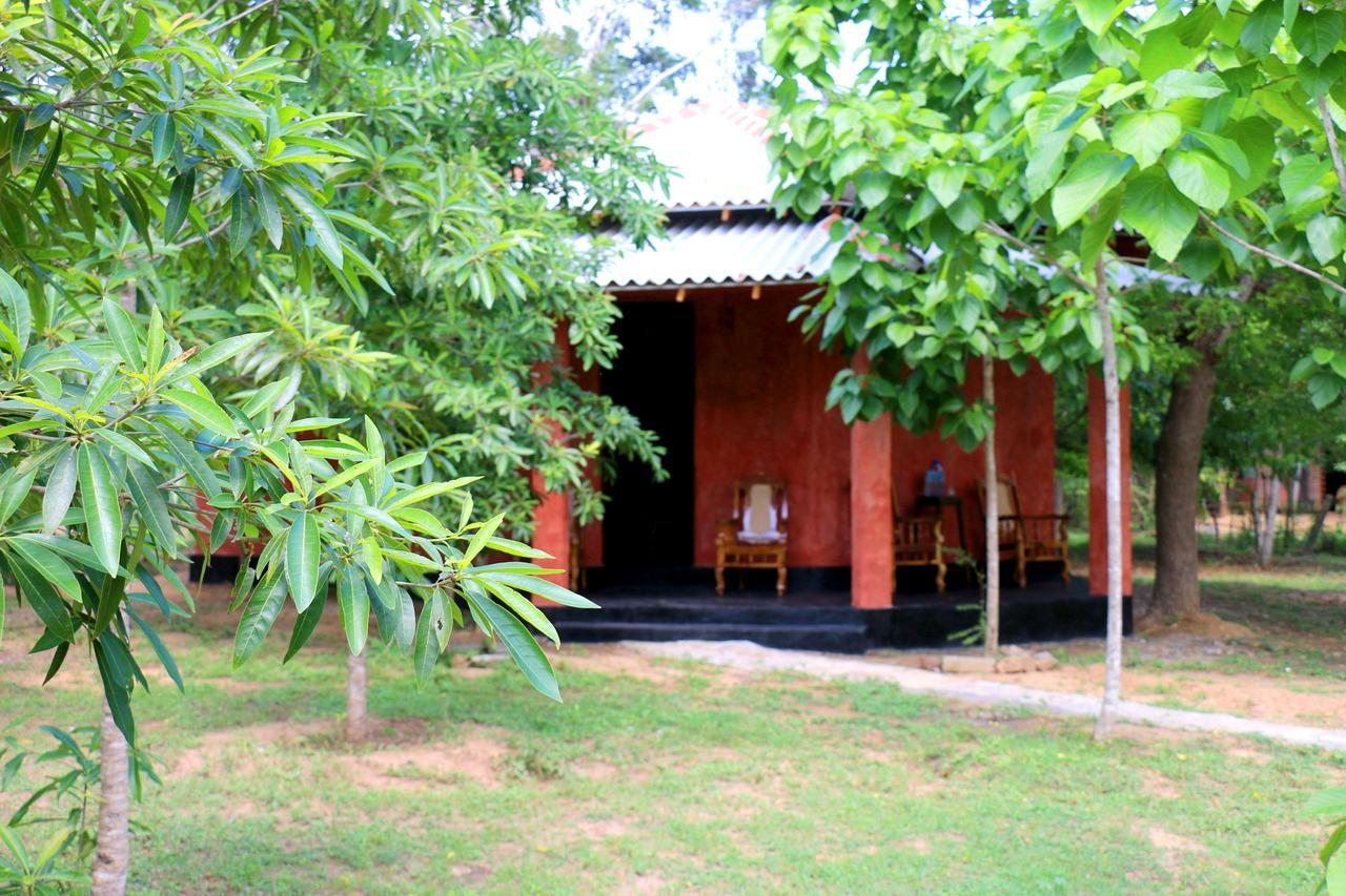 Lavish Eco Jungle Hotell Tissamaharama Exteriör bild