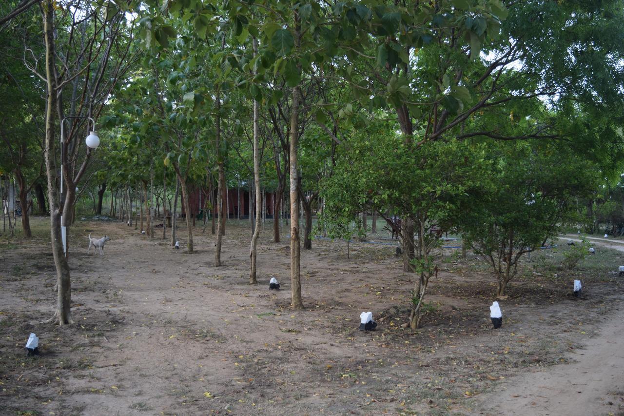 Lavish Eco Jungle Hotell Tissamaharama Exteriör bild