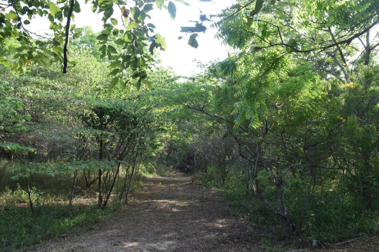 Lavish Eco Jungle Hotell Tissamaharama Exteriör bild