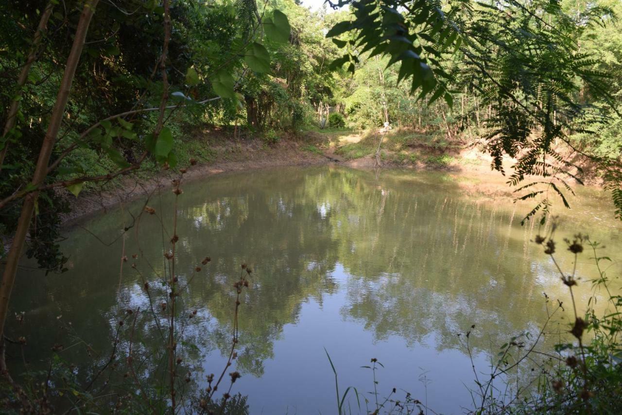 Lavish Eco Jungle Hotell Tissamaharama Exteriör bild