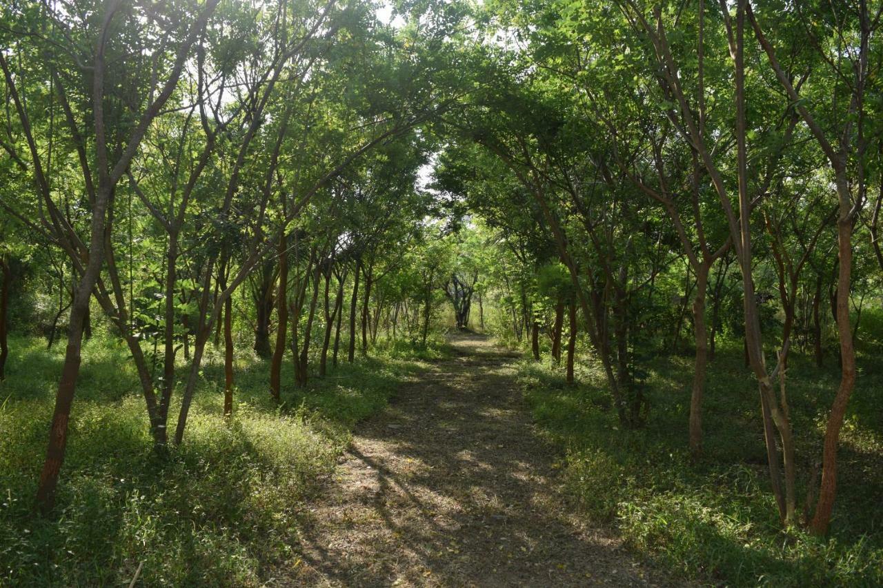 Lavish Eco Jungle Hotell Tissamaharama Exteriör bild
